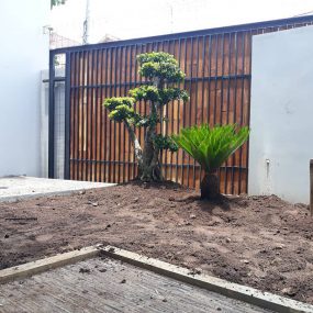 88198401_2753188164768259_5030017955671503204_n